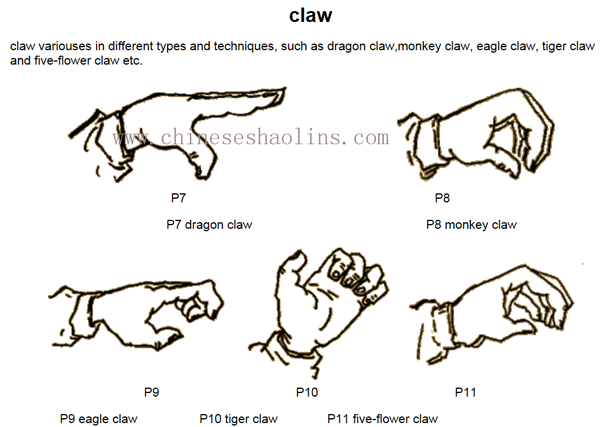 kung fu tiger style techniques