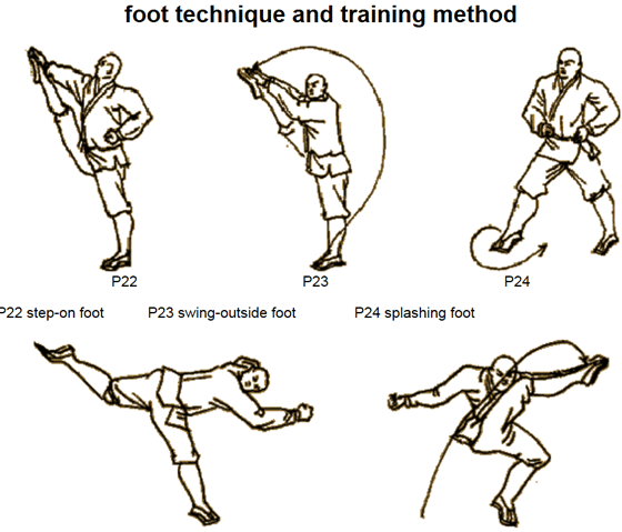 shaolin techniques training