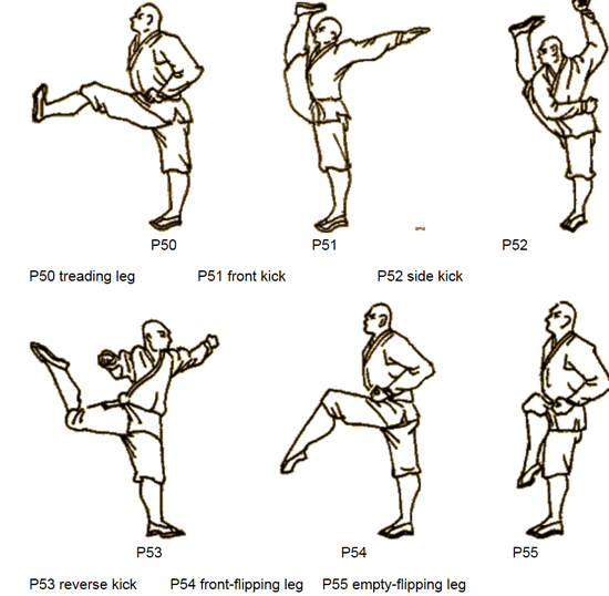 shaolin techniques pdf