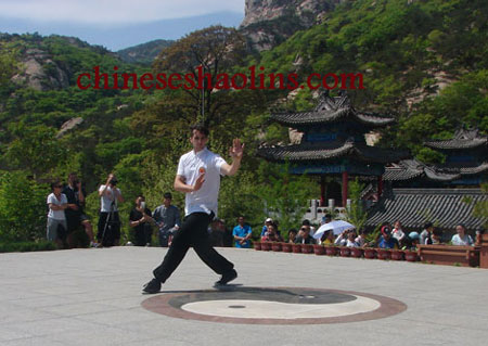 Bagua Kung fu in China kunyu mountain