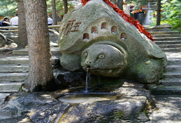 shaolin kung fu retreat on Kunyu mountain